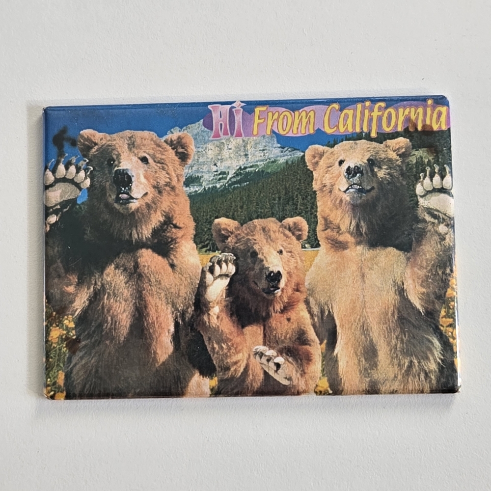 Grizzly Bear Hi From California Fridge Magnet Brown Bear Souvenir USA Kitsch